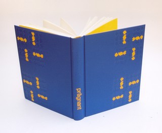(Buch)